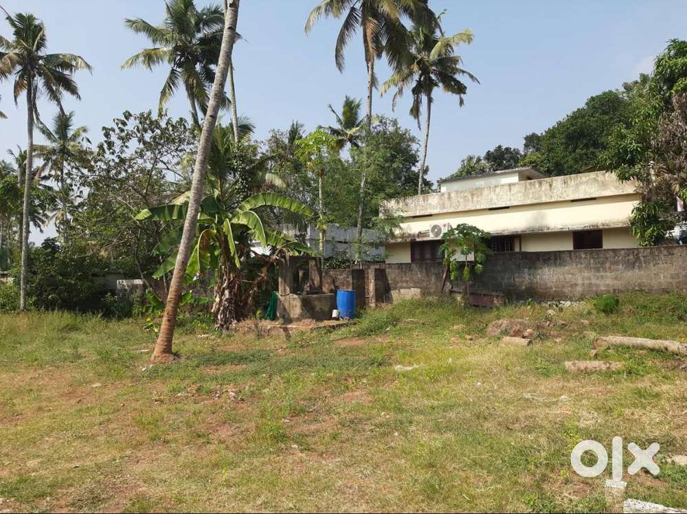 Edava Venkulam-Moodila Vila - Kapil Road