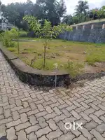 11CENT original PURAYIDAM  LAND   FOR SALE  AT KAKKANAD MANJERIKUY