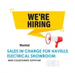 HAVELLS Electrical Sales Incharge