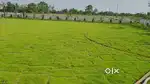 Chitvan Form House Tnc Rera approved project