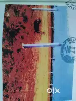Plot of 200 Sq Yards for Sale