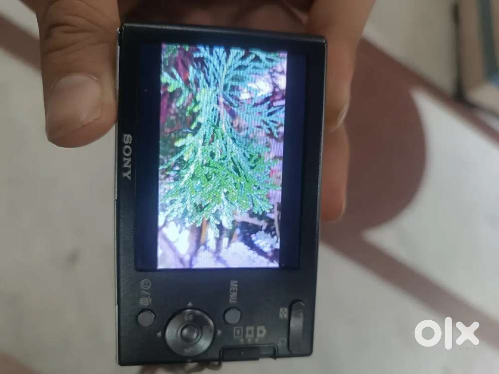 Sony Cybershot DSC-W190 12.1MP Digital Camera with 3x Super Steady