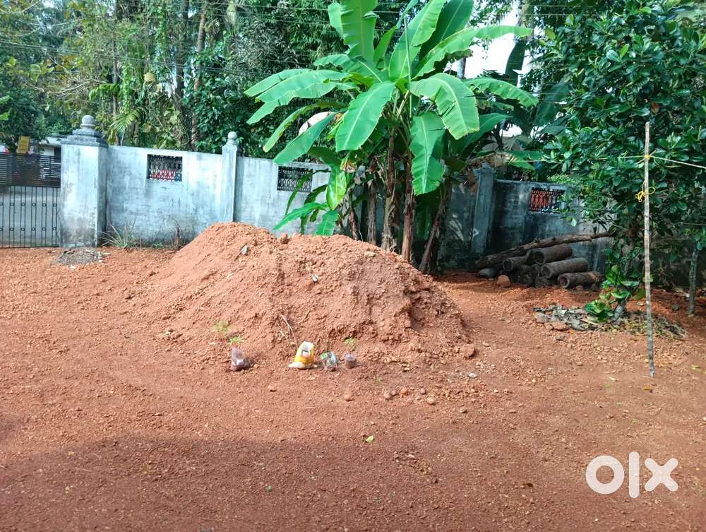 15 cent & 10 cent super house plot thrippunithura puthiyakave near