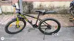 Frog Ninty one 21 Speed