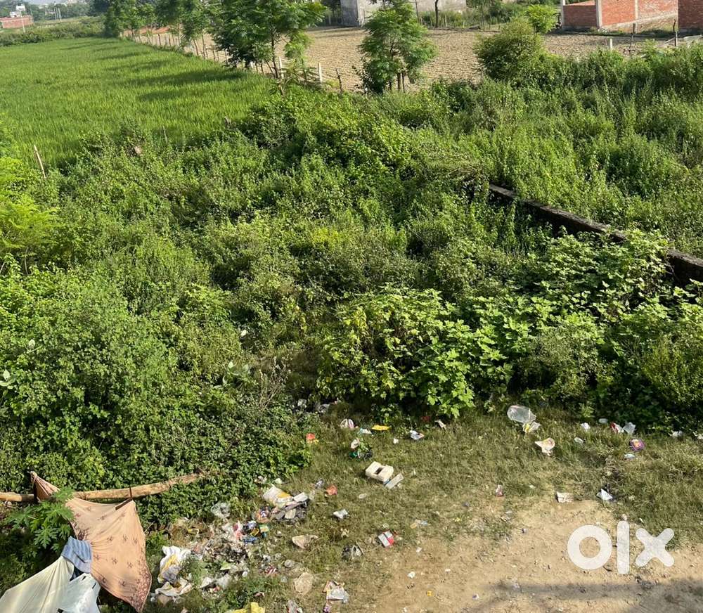 Plot available near unity PG college Ali Gaeden