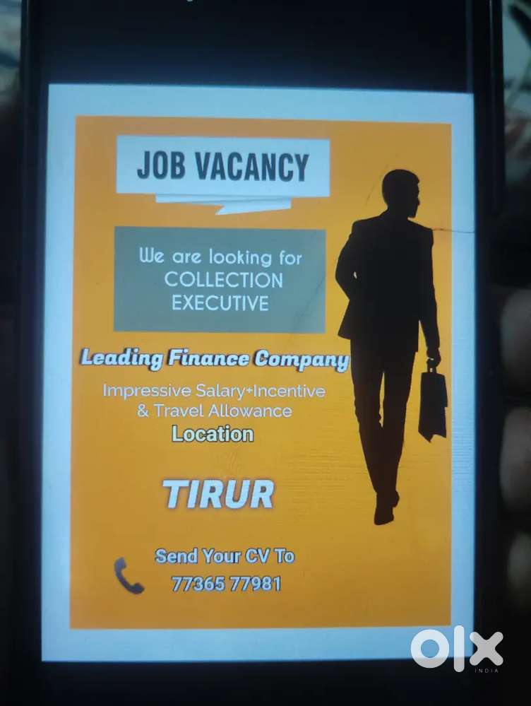 Collection Executive