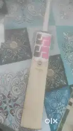 Ss players 4000 rinku Singh profile english willow bat