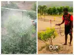 పరిశుభ్రమైన వాతావరణంలో, ETOR Cityలో 250 గజాల ప్లాట్‌తో పాటు రైతుబంధువు