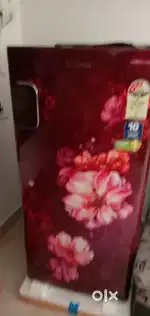 Llyod new fridge