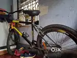 Gang cycle