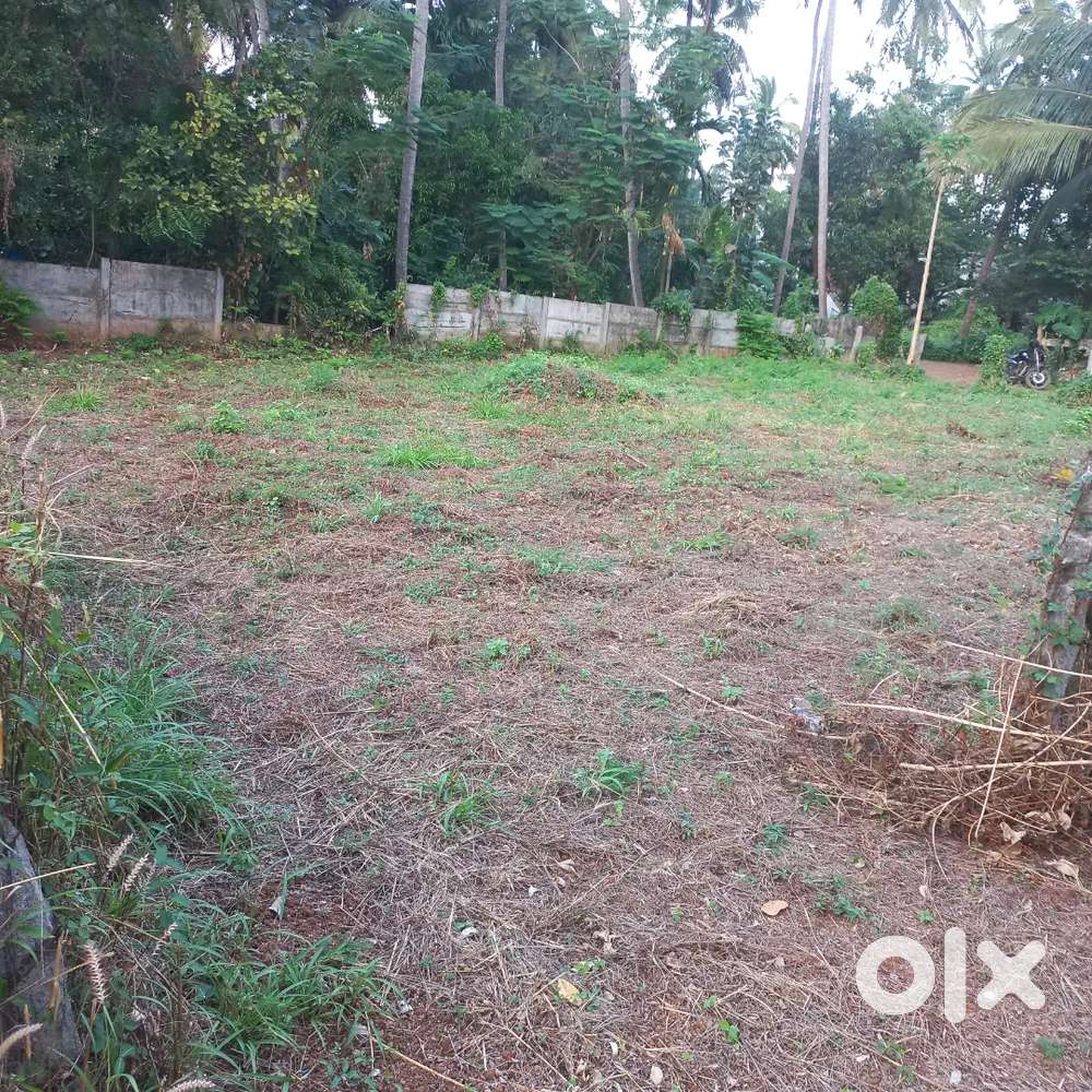 House plot 9.2cent for sale