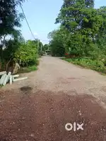 Sale Plot 800 SQFT only 20 Lakh In Purani Chaowni Rituraj Bageecha