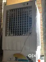 Cooler condition best