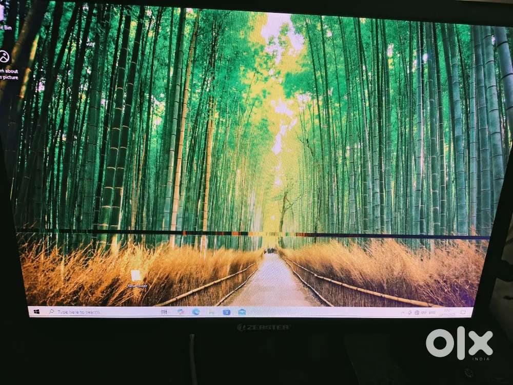 Zebster windows 10