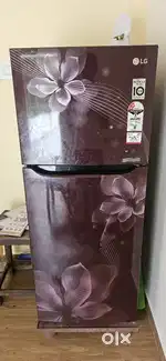 Lg refrigerator