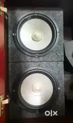 8Woofer with box