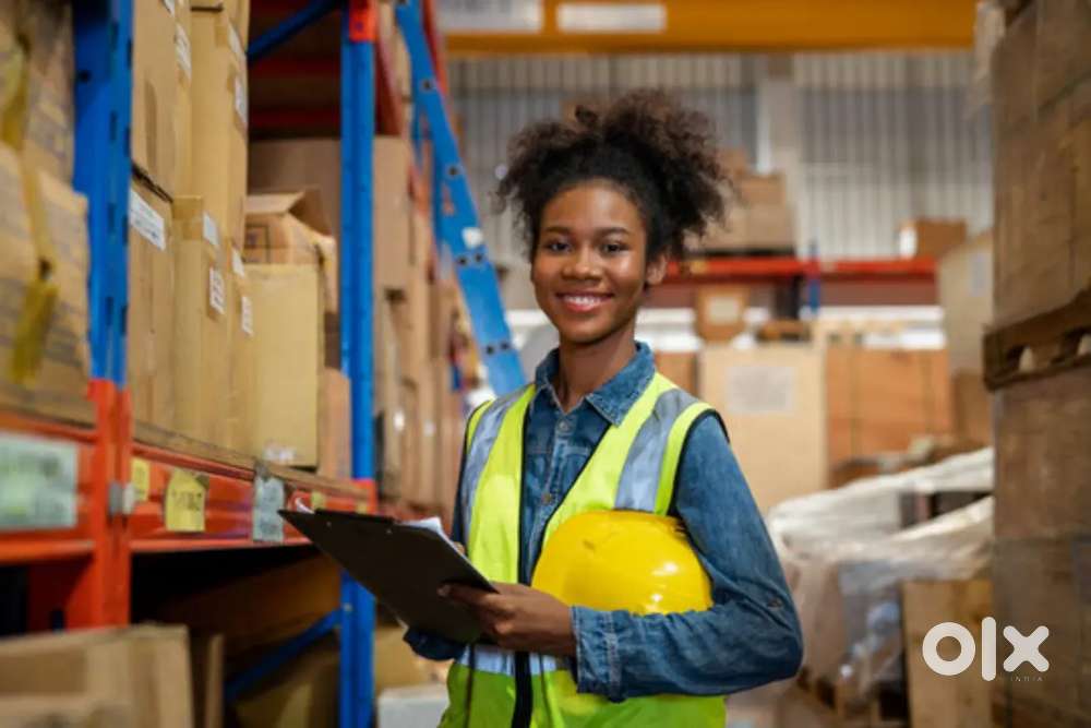 Urgent hiring freshers and experience candidates