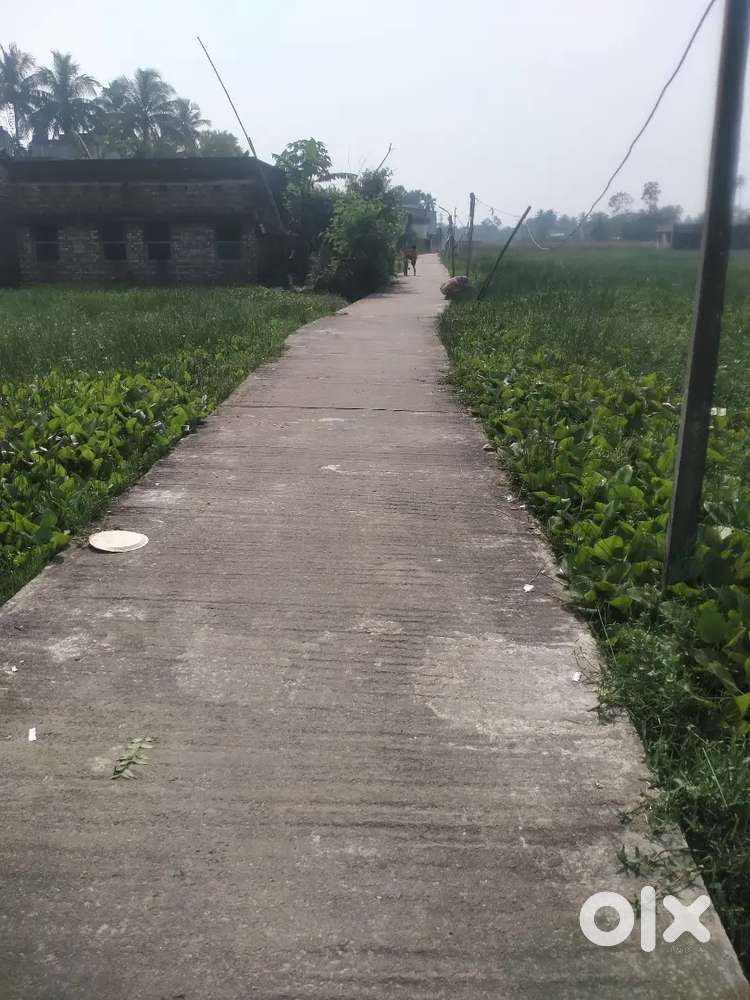 Boulkhali Bauria me plot sell