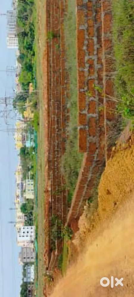 Plot for sale in Bhubaneswar patrapada price -1000