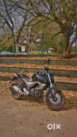 Yamaha Fz V3 2024 Model