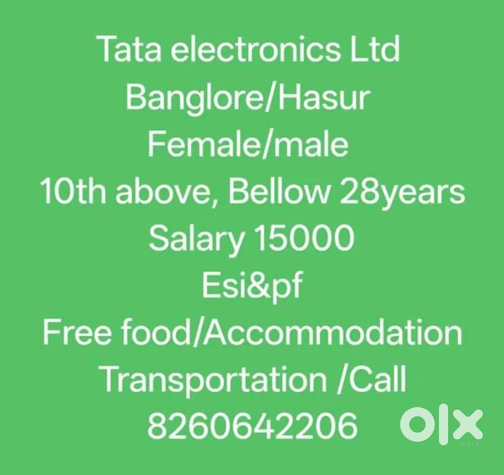 Technical support staff