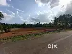 തൊടുപുഴ മുവാറ്റുപുഴ റോഡിൽ കദലിക്കാട് 16,12,10 സെൻ്റ് ഹൗസ് പ്ലോട്ട്