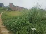 Perfect location maine road pe plot