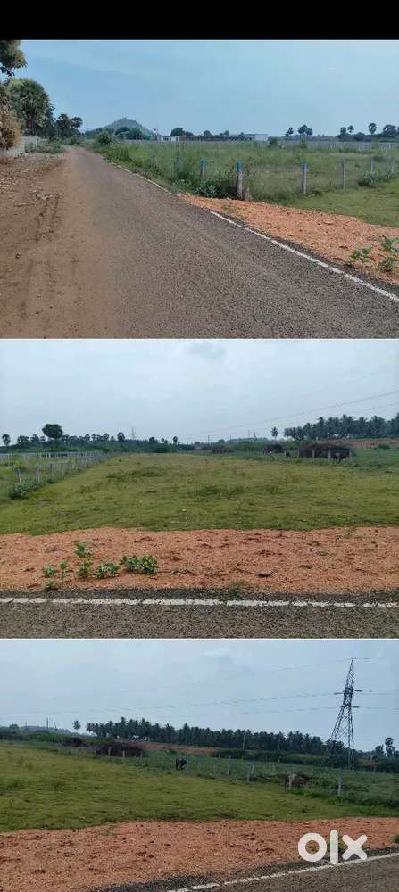 Land for sale near Dindigul