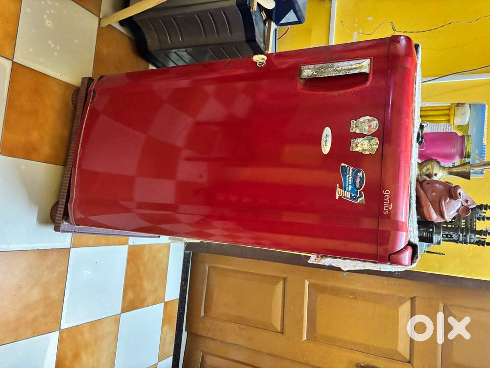TV and Fridge on sale but can take any one if interested