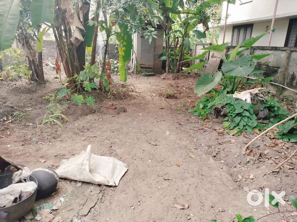 3 cent plot suitable for building house in kadappakada