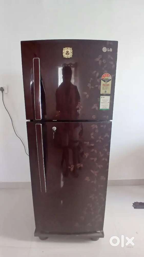 LG double door fridge