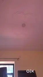Need Room Partner Girl Boys Both allowed in near rispina pul