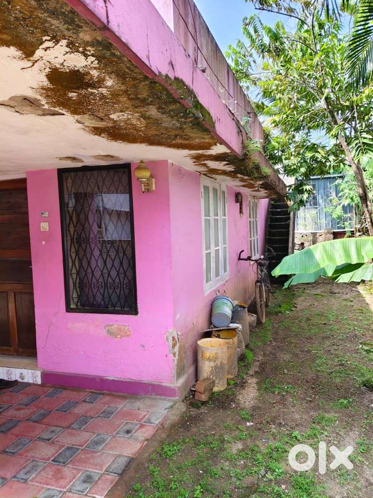 4.5cent  land with 2BHK Single floor old house for sale at Kaloor