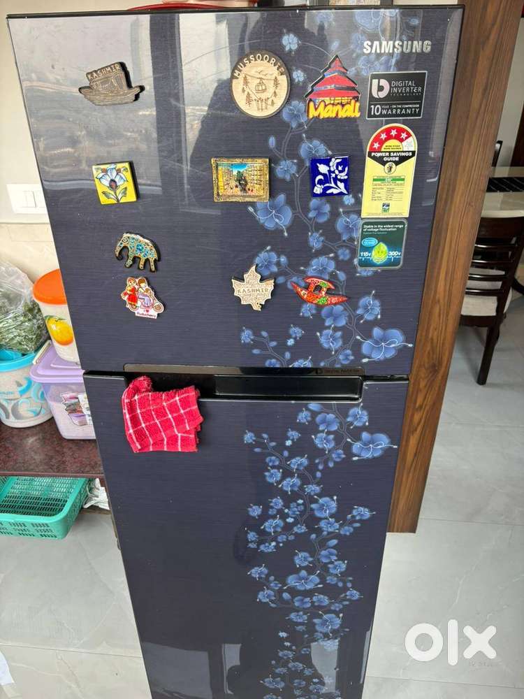 Samsung 275L 4 Star Frost Free Double Door Refrigerator RT29JARZEPX