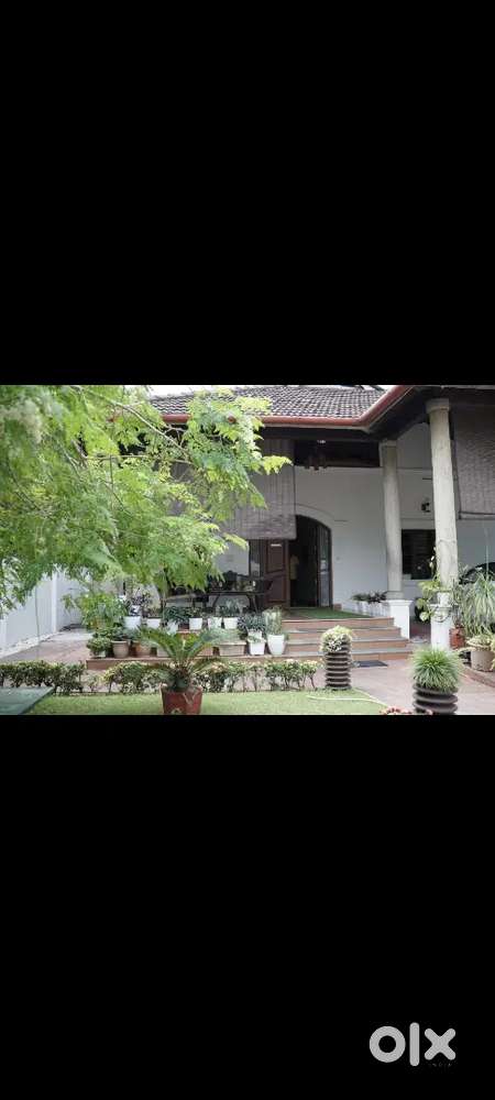 4 BHK fully furnished indipendent house for rent Kaloor