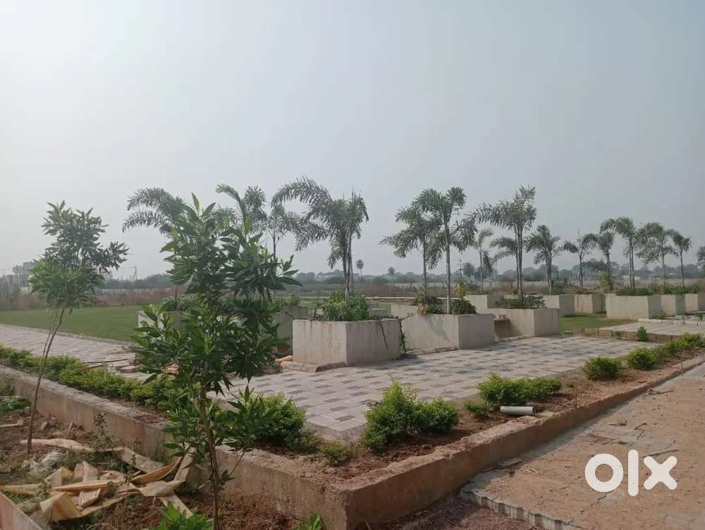 Raipur,Aurum city, near shadani darbar