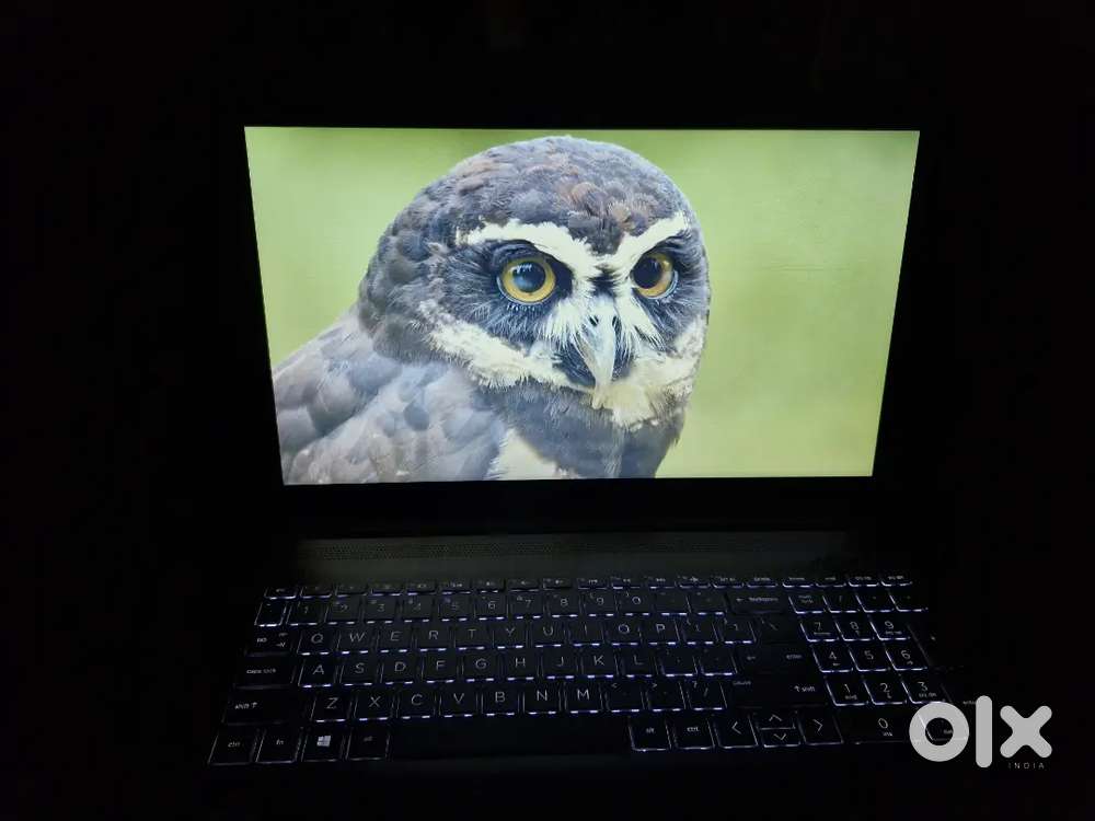 HP Laptop 15g i5 8th Gen  8GB RAM  256GB SSD + 1TB HDD  MX110 2GB