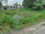 Land for sale NH 715 100 metter from national highway