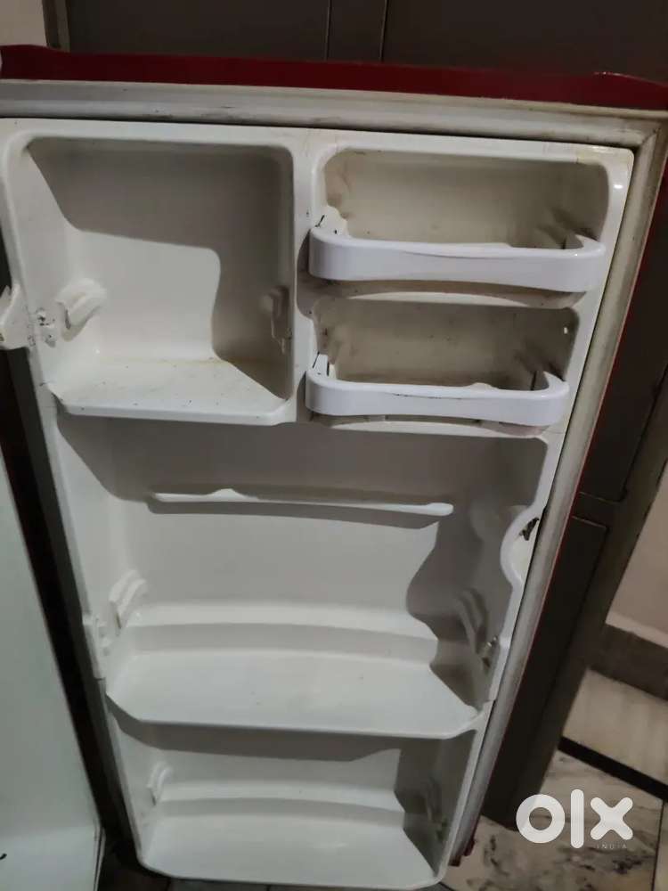 The Best Fridge under 4K