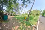 Resort  ്ന് പറ്റിയ പ്ലോട്ട് കുഴുപ്പിള്ളി ബീച്ച്