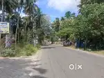 9 cent land for sale in pillaiyarvelai