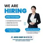 Customer relationship officer