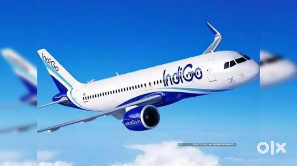 Required for Male and female candidates for indigo Airlines jobs