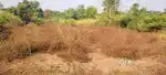 22 Guntha Agricultural Land