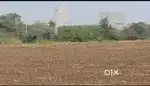 1.18 acers land for sale in nirukonda village.
