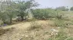 I want to sale my plot shadhashivpet