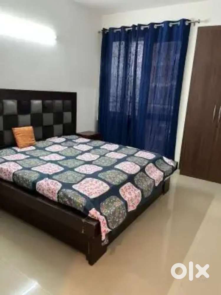Family /Girls 1 bedroom kitchen bath furnished sector 71 mohali