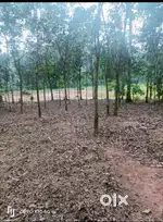 52 cent sale poovarany  200 meters from pala to ponkunnam road