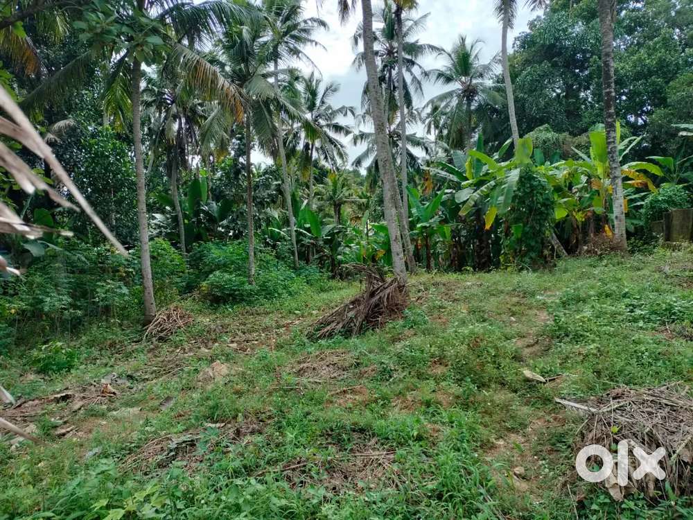 Land nearby panchayat road and closest to all amenities