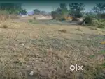 7 kanal Land for sale at cheapest rate